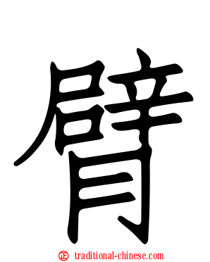 臂