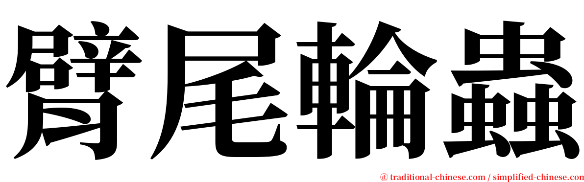 臂尾輪蟲 serif font