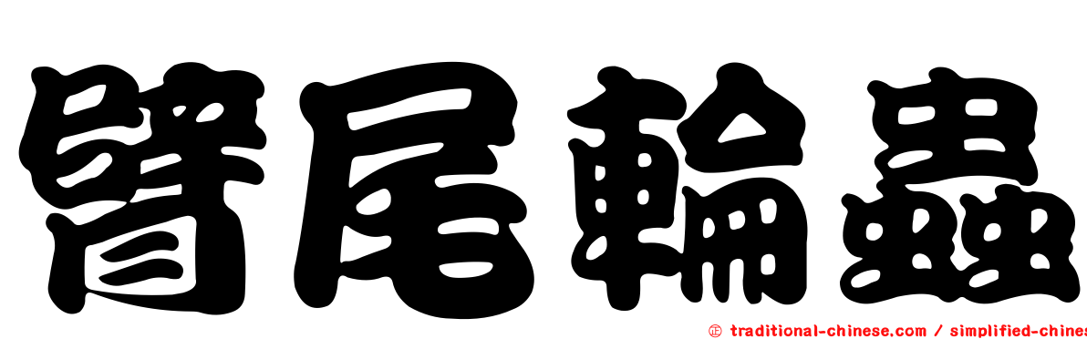 臂尾輪蟲