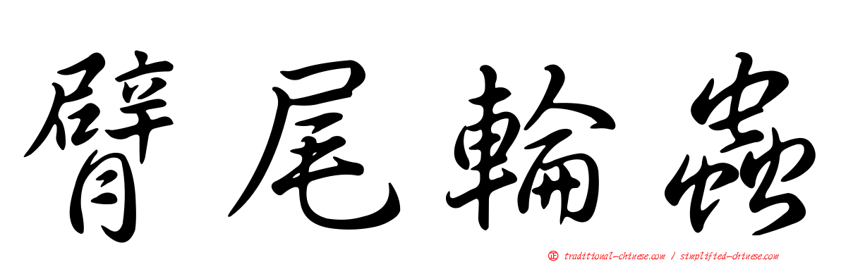 臂尾輪蟲