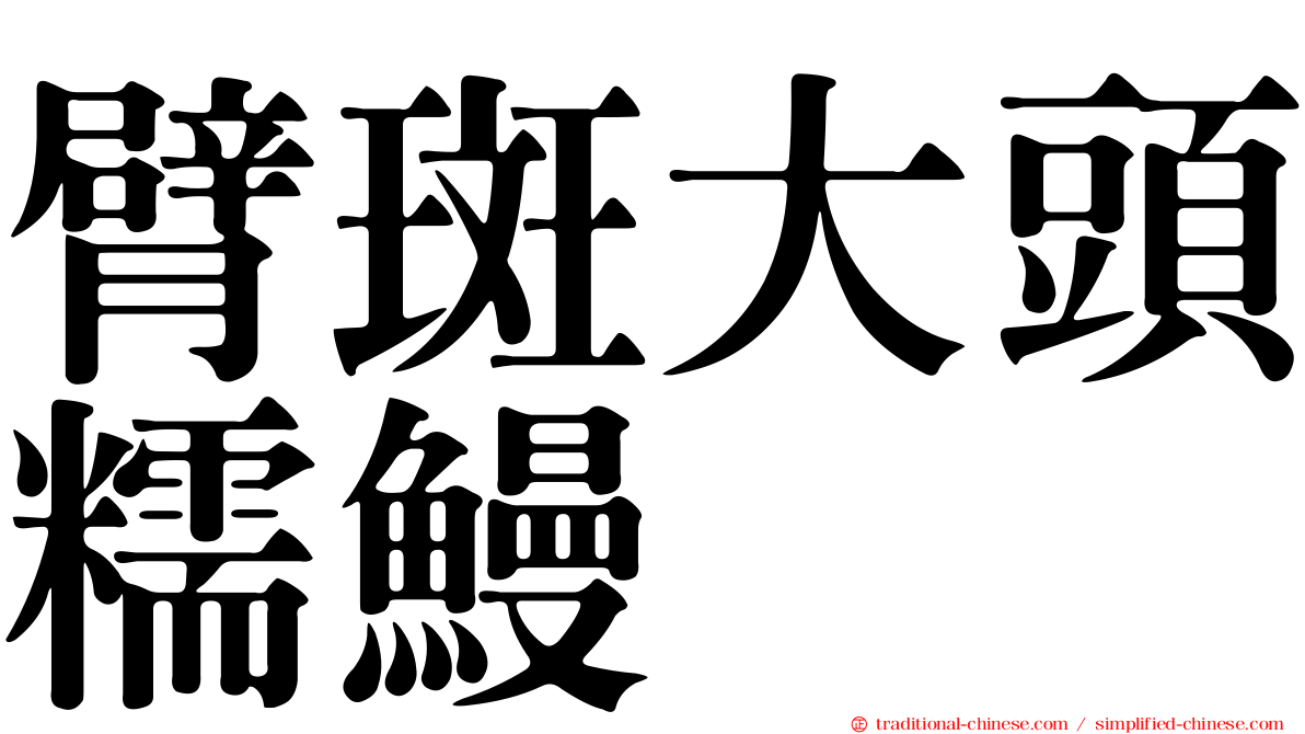 臂斑大頭糯鰻