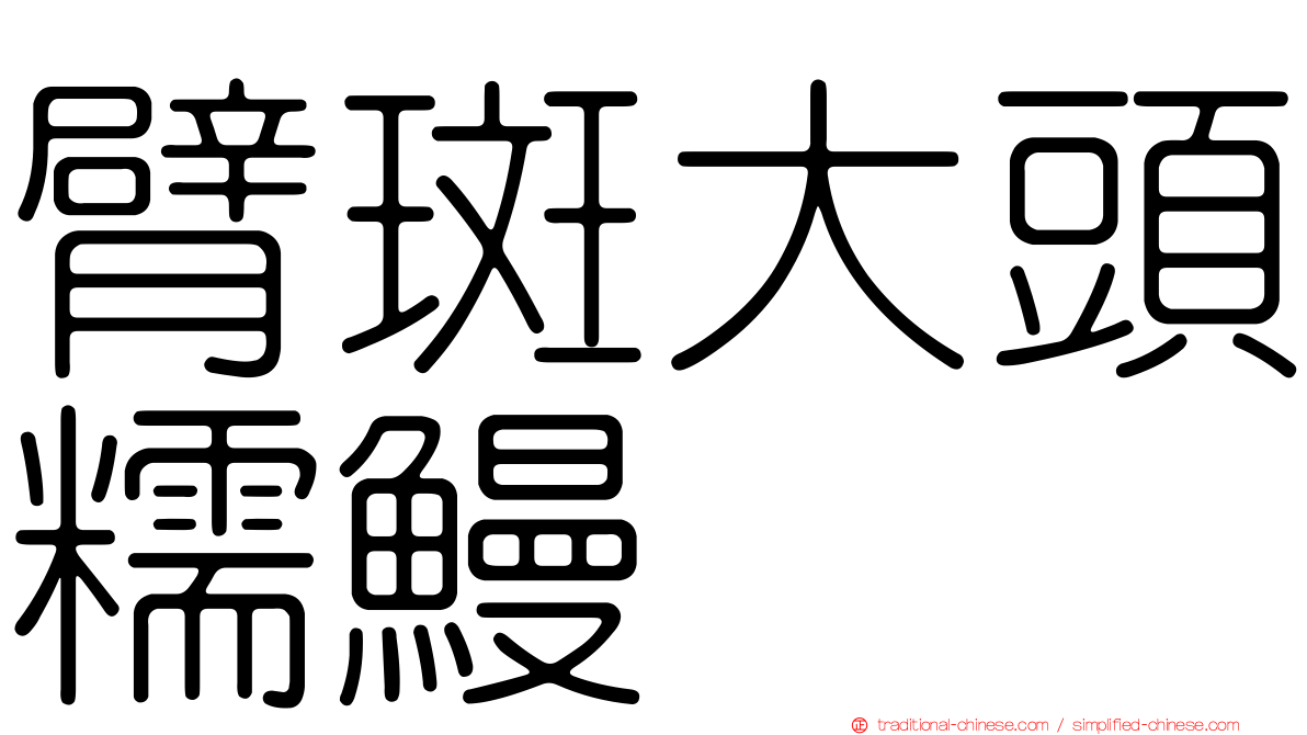 臂斑大頭糯鰻