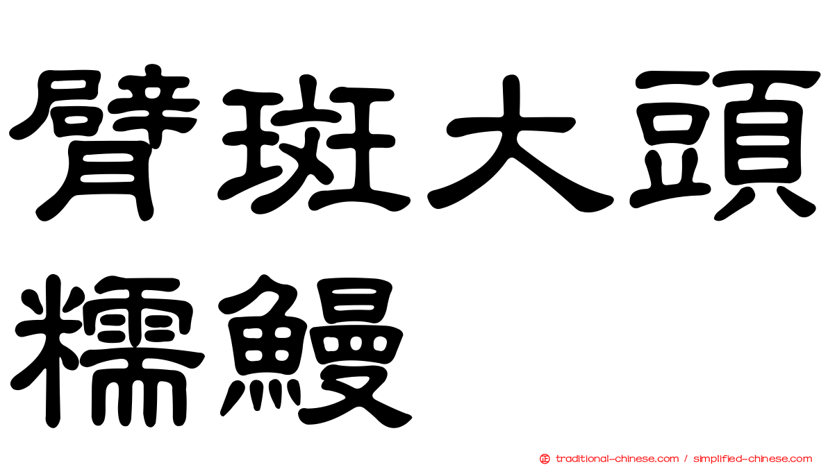 臂斑大頭糯鰻