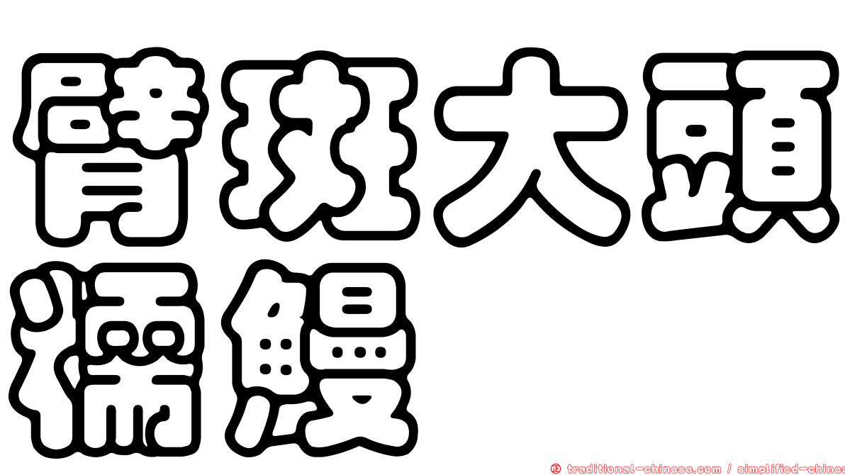 臂斑大頭糯鰻