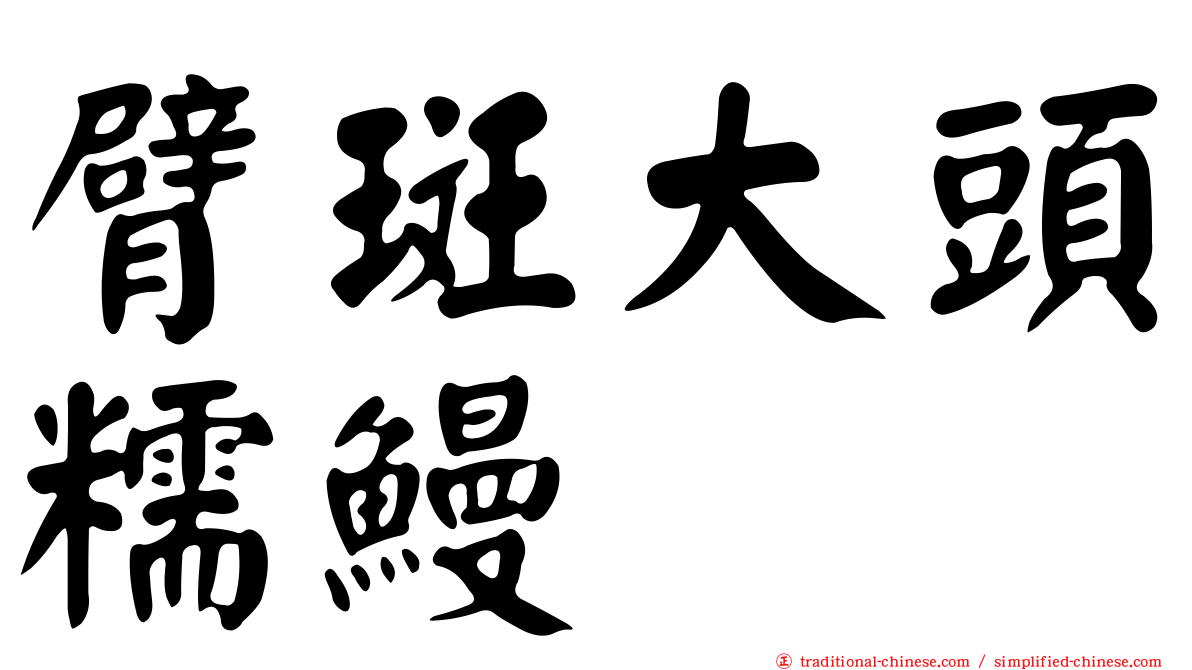 臂斑大頭糯鰻