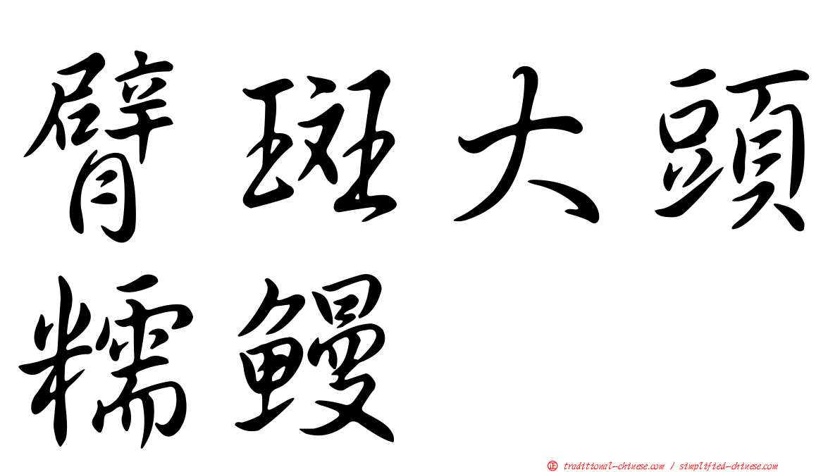 臂斑大頭糯鰻
