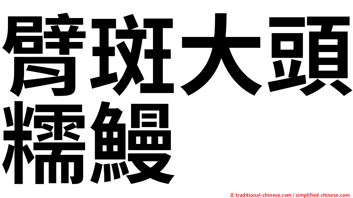 臂斑大頭糯鰻