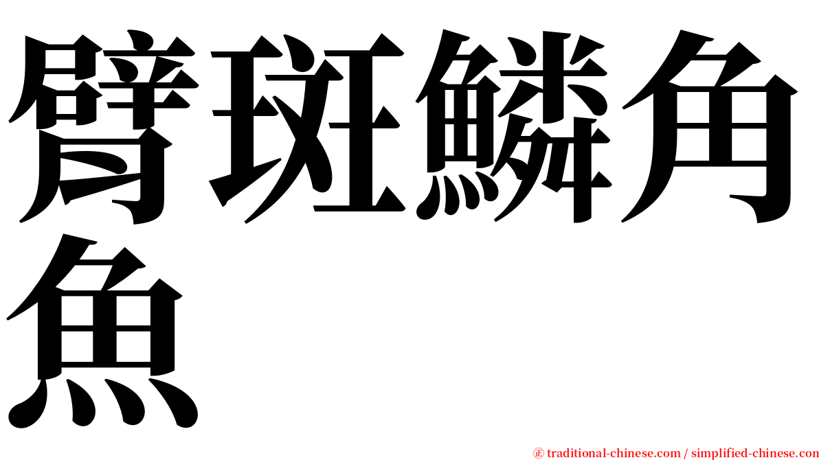臂斑鱗角魚 serif font