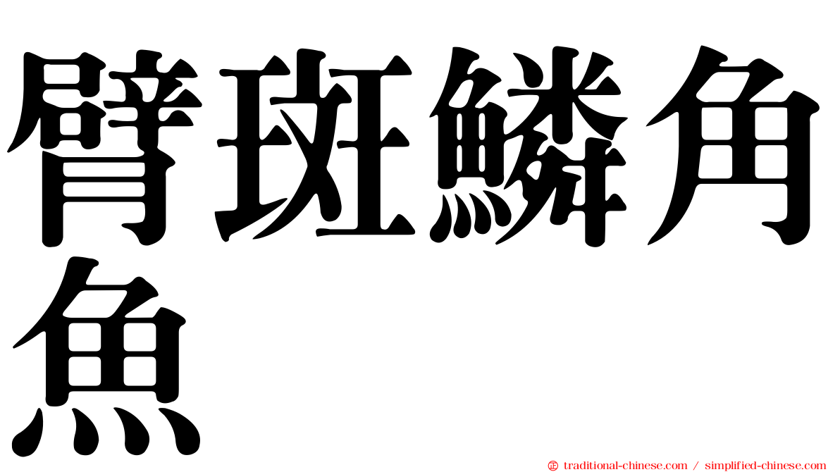 臂斑鱗角魚