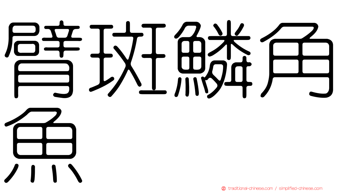 臂斑鱗角魚