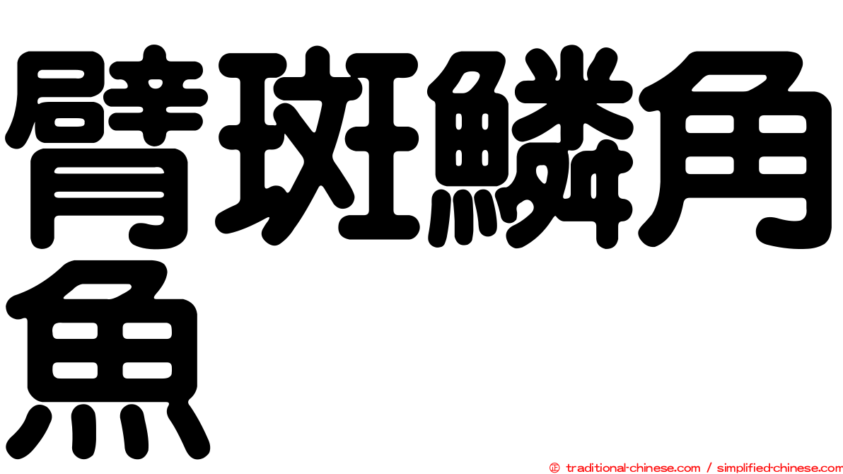臂斑鱗角魚