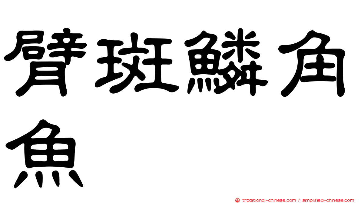臂斑鱗角魚
