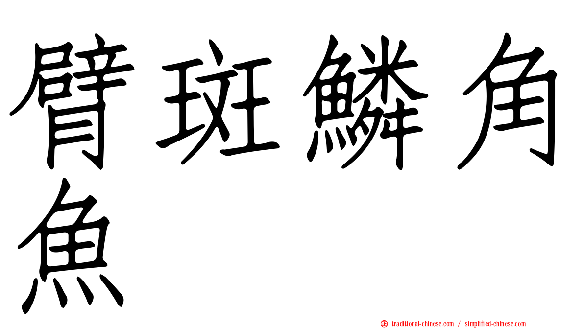 臂斑鱗角魚