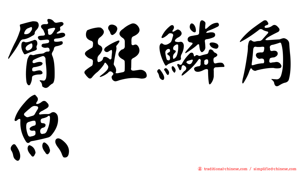 臂斑鱗角魚