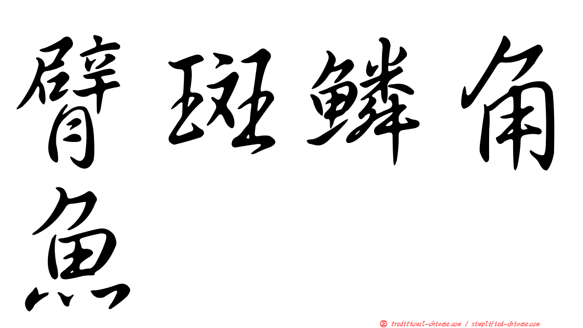 臂斑鱗角魚