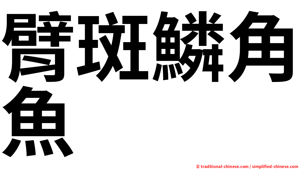 臂斑鱗角魚