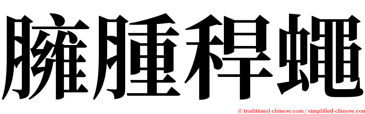 臃腫稈蠅 serif font