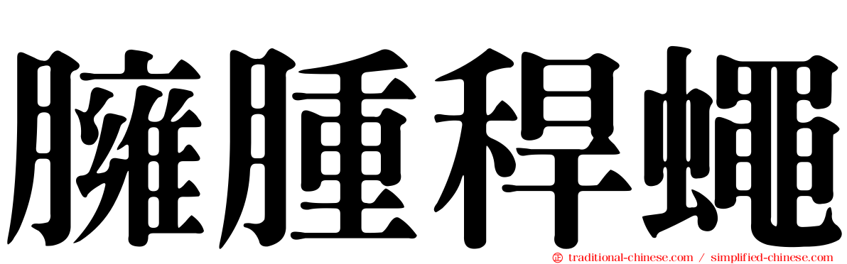臃腫稈蠅