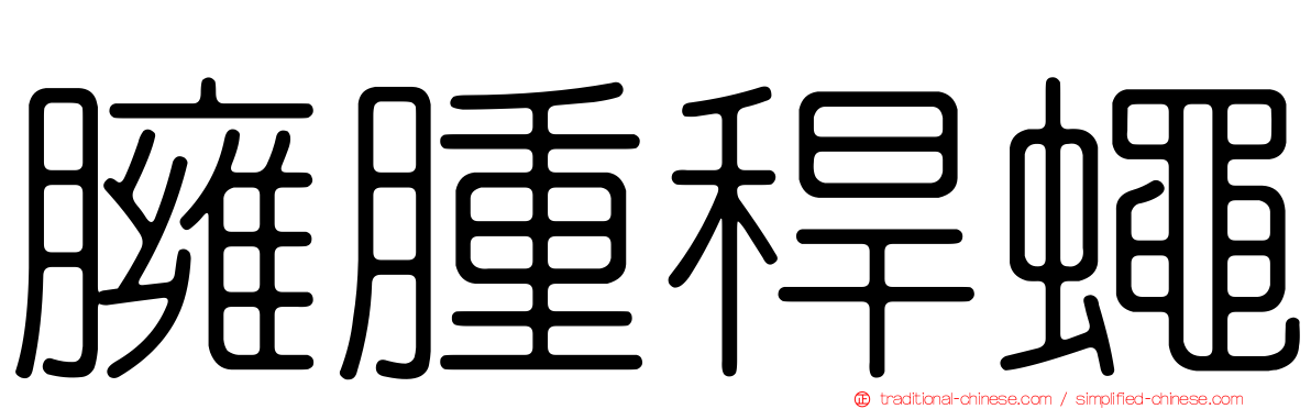 臃腫稈蠅