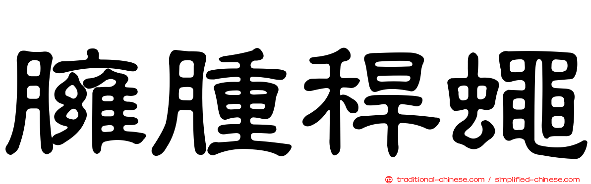 臃腫稈蠅