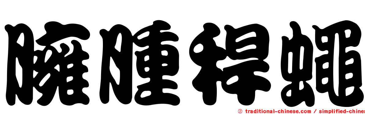 臃腫稈蠅
