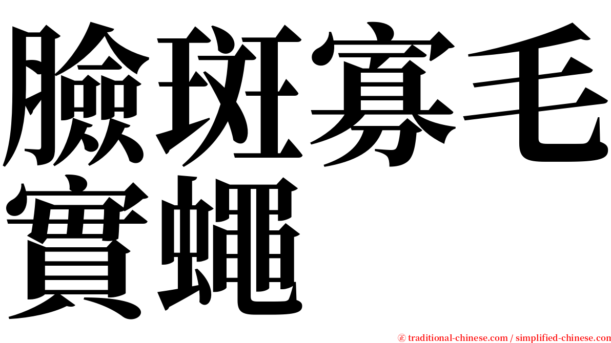 臉斑寡毛實蠅 serif font