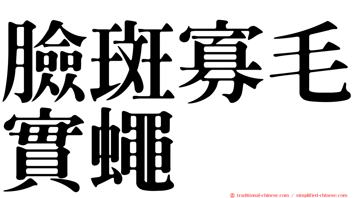 臉斑寡毛實蠅