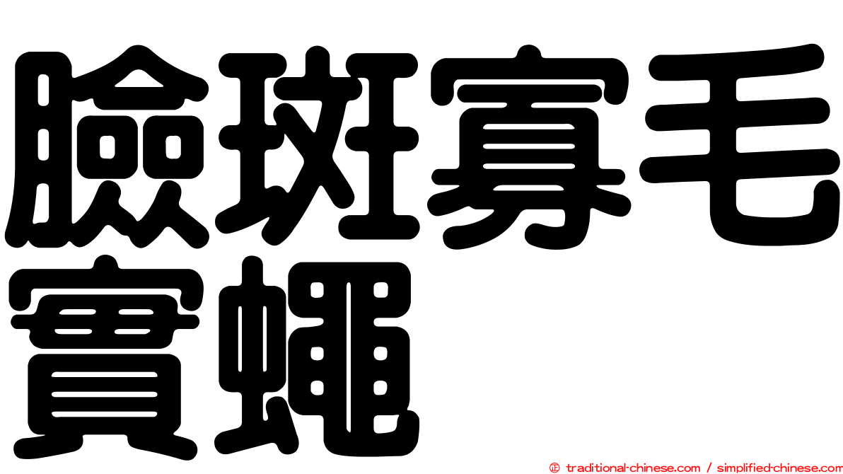 臉斑寡毛實蠅