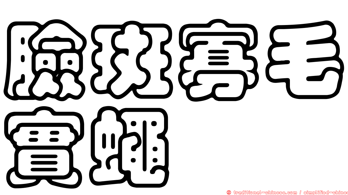 臉斑寡毛實蠅