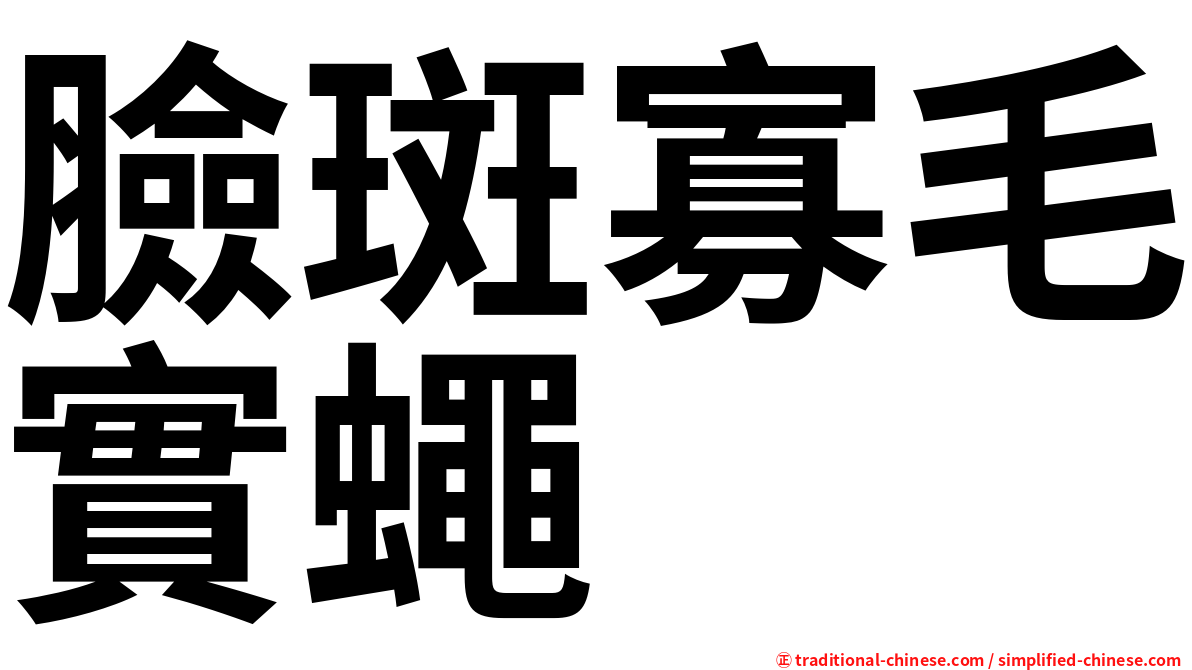 臉斑寡毛實蠅