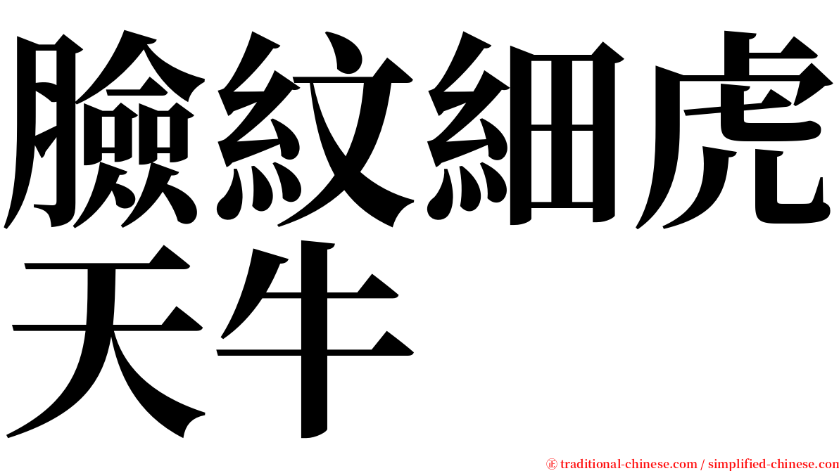 臉紋細虎天牛 serif font