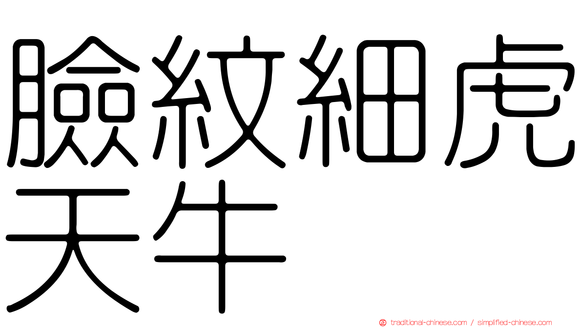 臉紋細虎天牛