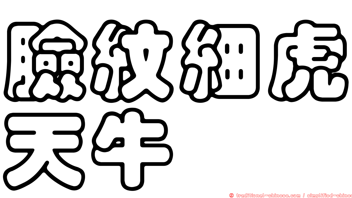 臉紋細虎天牛