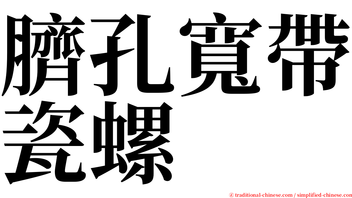 臍孔寬帶瓷螺 serif font