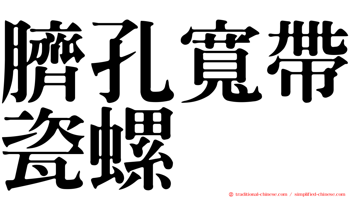 臍孔寬帶瓷螺