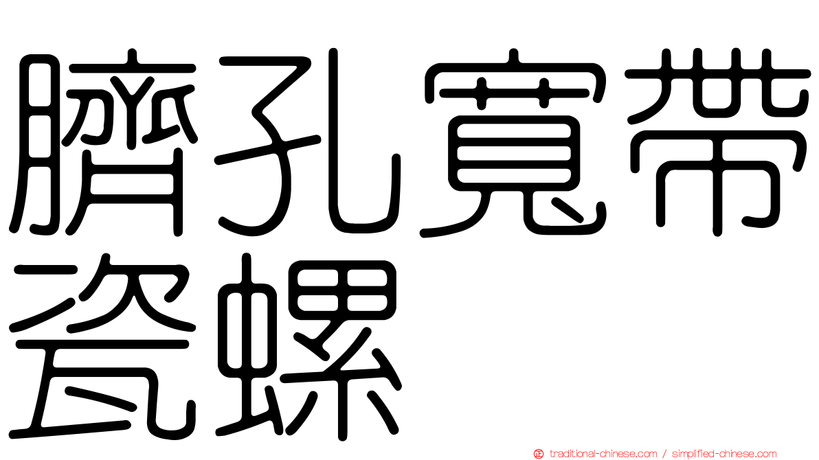 臍孔寬帶瓷螺
