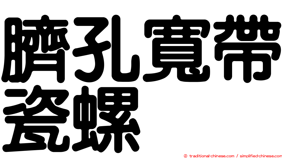臍孔寬帶瓷螺