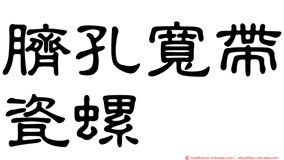 臍孔寬帶瓷螺