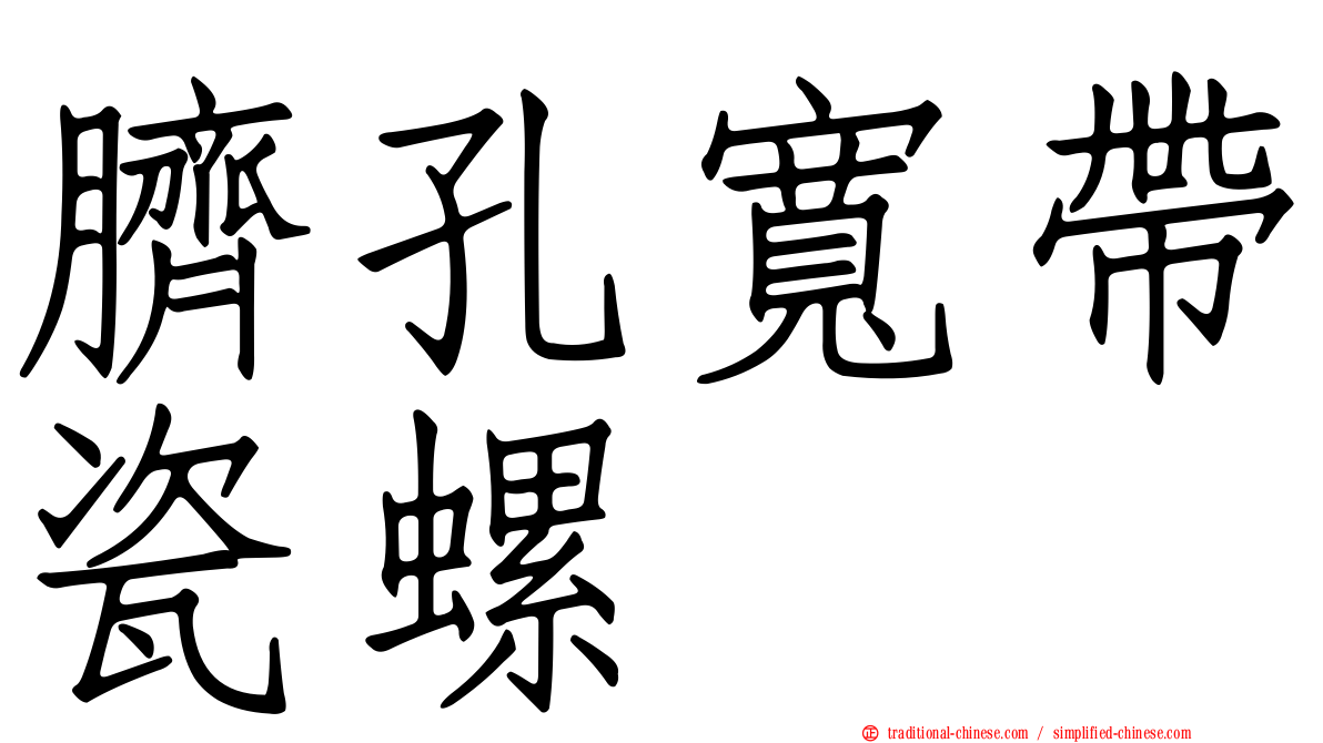 臍孔寬帶瓷螺