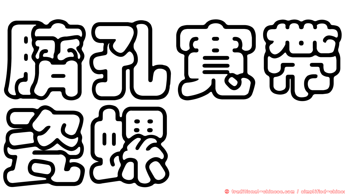 臍孔寬帶瓷螺