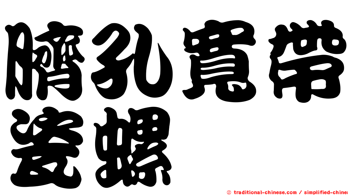 臍孔寬帶瓷螺