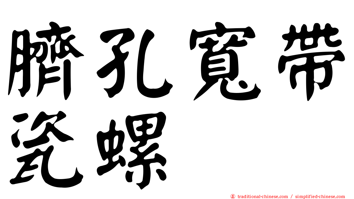 臍孔寬帶瓷螺