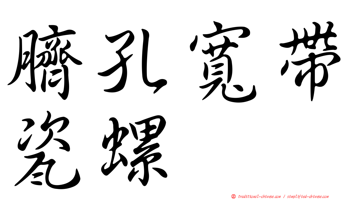 臍孔寬帶瓷螺
