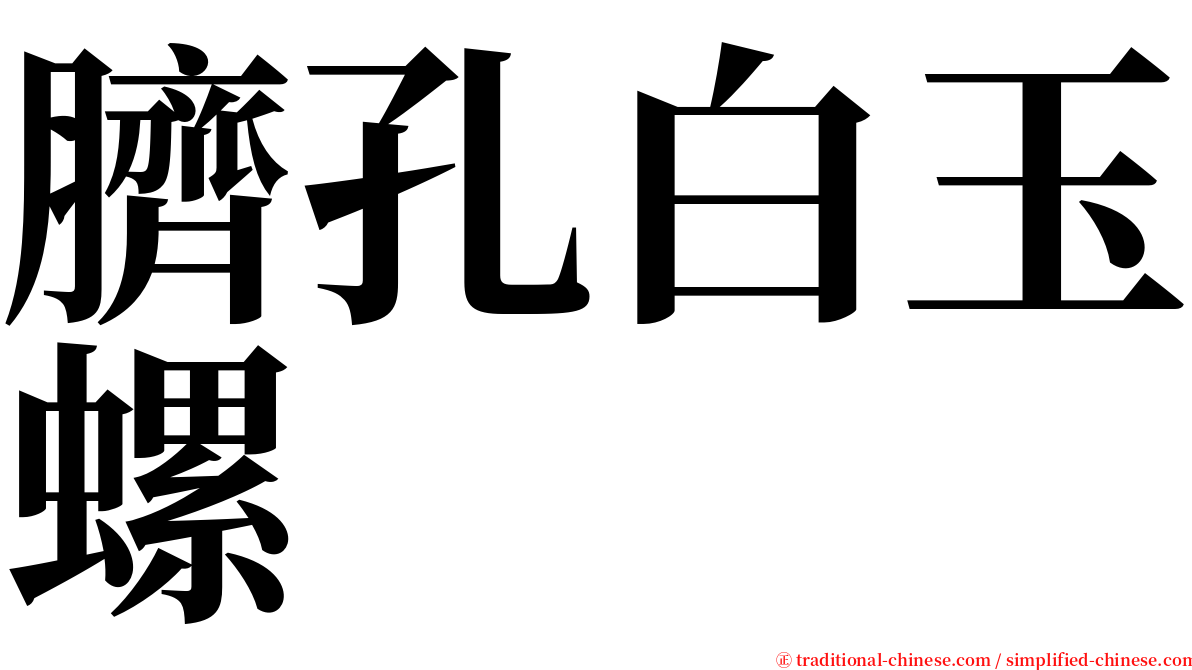 臍孔白玉螺 serif font