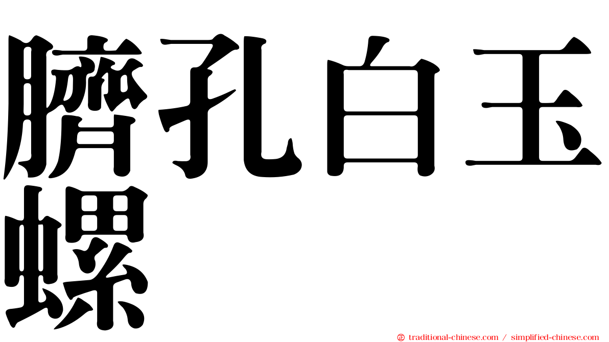 臍孔白玉螺