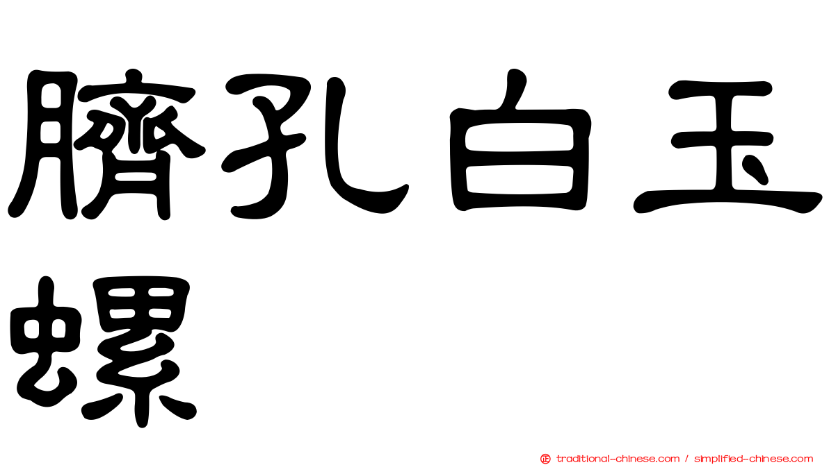 臍孔白玉螺