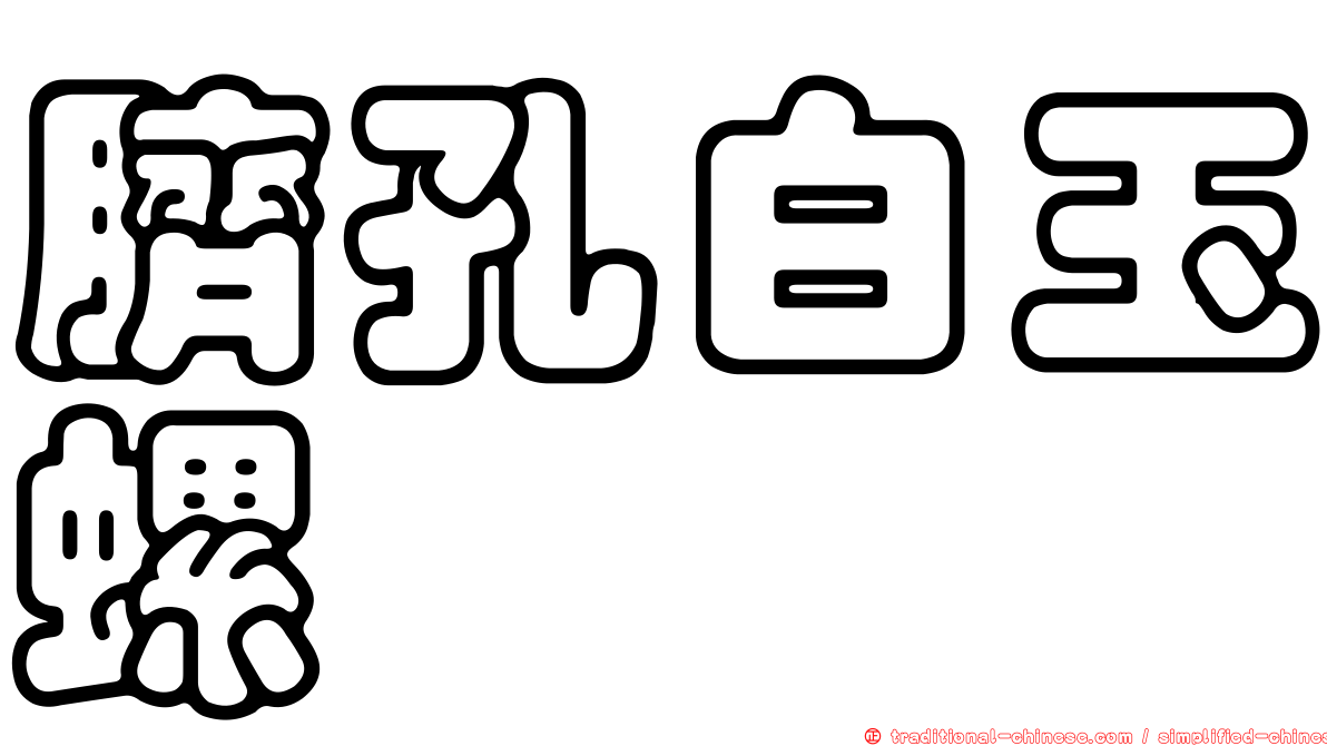 臍孔白玉螺