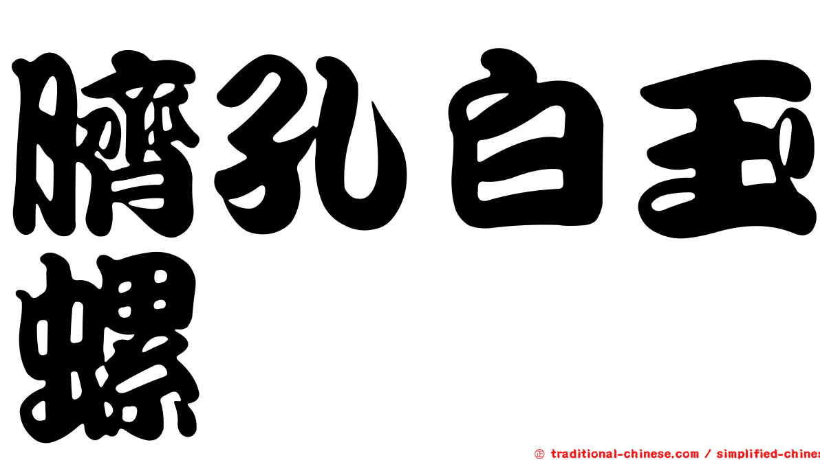 臍孔白玉螺