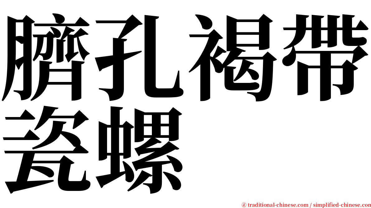 臍孔褐帶瓷螺 serif font