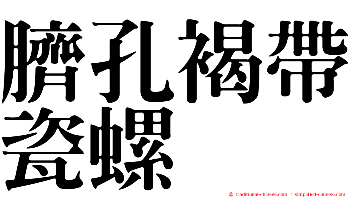 臍孔褐帶瓷螺